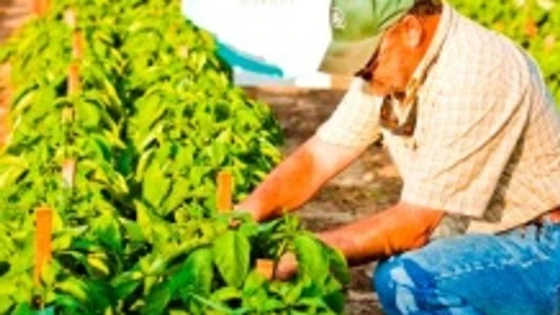 Mitsui to buy DuPont's copper fungicide business Mitsui to buy DuPont's copper fungicide business