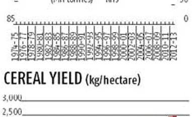 40 years ago...and now: Cereal yields disappoint