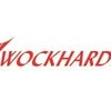 Wockhardt gains on raising Rs 36cr from promoter group