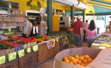 The Californian coast where the redwoods disappear