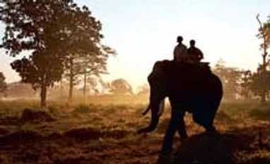 Govt may do away with tribal consent for cutting forests