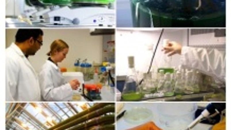 AkzoNobel, Photanol tie up for developing chemicals from sunlight AkzoNobel, Photanol tie up for developing chemicals from sunlight