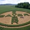 Bayer to choose banks for Monsanto offer