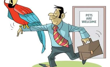 Now, have a pet by your workstation