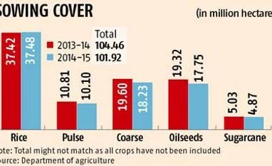 Rice production in 2014 pegged at 88 million tonnes