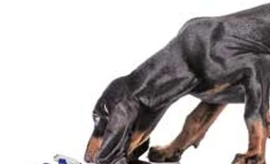 Sniffing the USB drive you're hiding