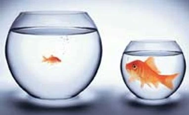 What's so special in officers of govt-run Dena Bank?