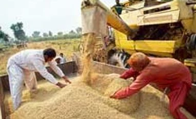 FCI revamp panel may propose limiting grain purchase to just buffer need
