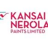 Kansai Nerolac Paints elevates Anuj Jain as the managing director