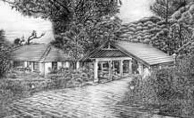 40 Years Ago... and now: Riding the services wave