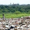 NGT notice to UP govt over poor waste management in Meerut
