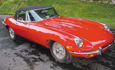 The cat that looks like a shark Jaguar E-Type Series II