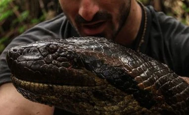 Man allows himself to be swallowed alive by anaconda