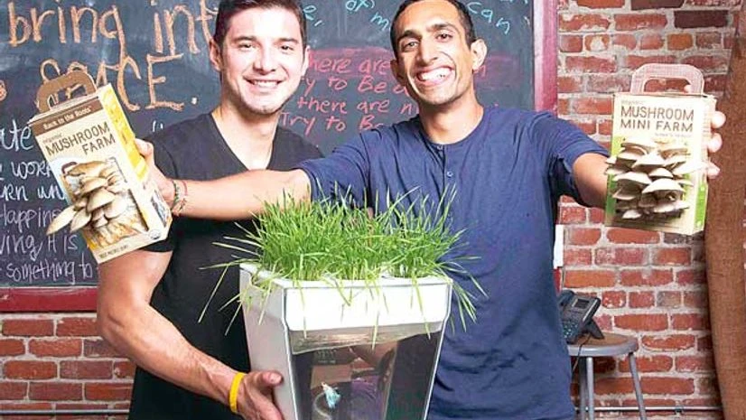 Nikhil Arora (right) and his partner Alejandro Velez with two of their products — Mushroom Kit and AquaFarm Nikhil Arora (right) and his partner Alejandro Velez with two of their products — Mushroom Kit and AquaFarm