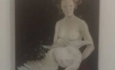 India Art Fair: a mixed bag for international galleries