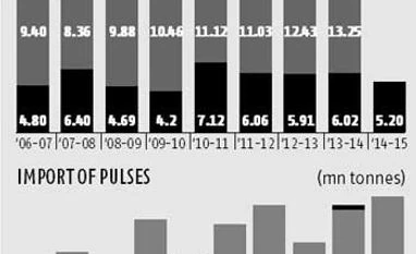 Pulses' import set for new high on less output