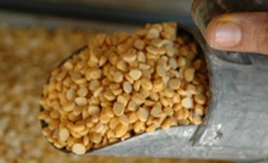 Pulses prices might rise again: Report Pulses prices may rise again: Report