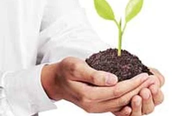 Govt approves Rs 4500-cr ammonia-urea complex in Assam