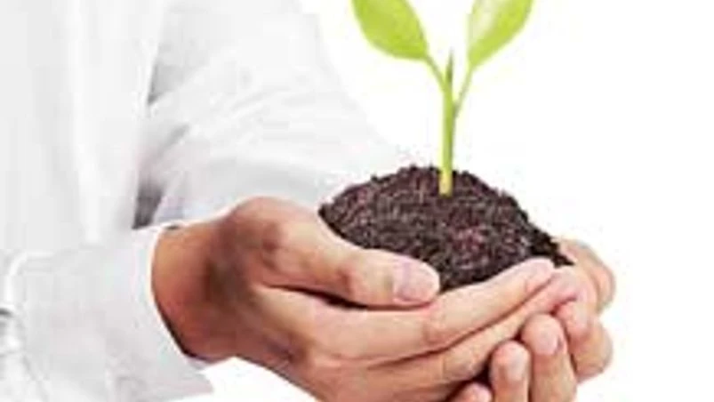 Govt approves Rs 4500-cr ammonia-urea complex in Assam Govt approves Rs 4500-cr ammonia-urea complex in Assam