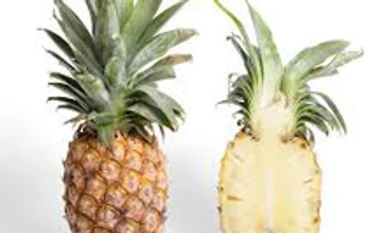 Camson signs pact with pineapple growers for 'zero residue' fruits