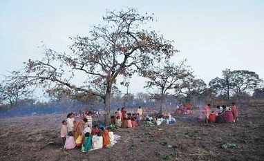 Rift between environment and tribal ministry over dilution of tribal veto powers