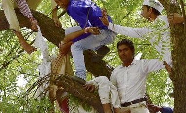 Entrepreneurs can apply for 26 services online from June