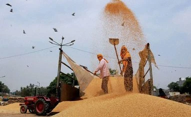 Govt expects record foodgrains output this year Farmers shifting wheat in a grain market
