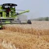 A harvester at work in a wheat field in Amritsar on Wednesday, 29 April 2015 Picture by PTI