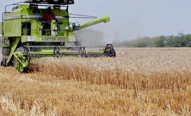 Wheat imports to hit decade high as weather woes curb output: Survey A harvester at work in a wheat field in Amritsar on Wednesday, 29 April 2015 Picture by PTI