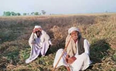 Chhattisgarh increases compensation for crop damage