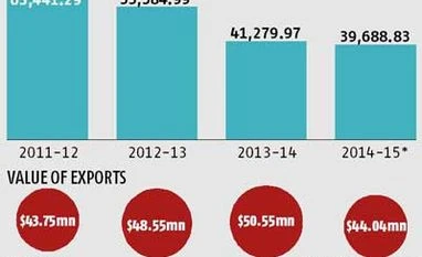 Infrastructure issues haunt mango exports
