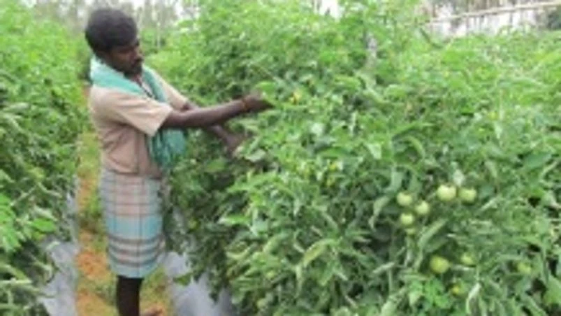 Bayer CropScience buys vegetable seed firm SeedWorks India Bayer CropScience buys vegetable seed firm SeedWorks India