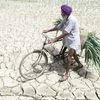 SC asks central govt to set up special force to tackle drought
