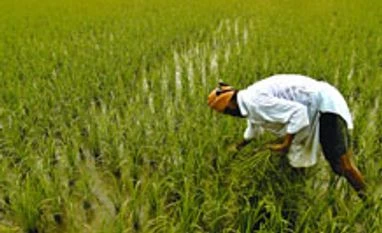 Grow more with every drop to save environment