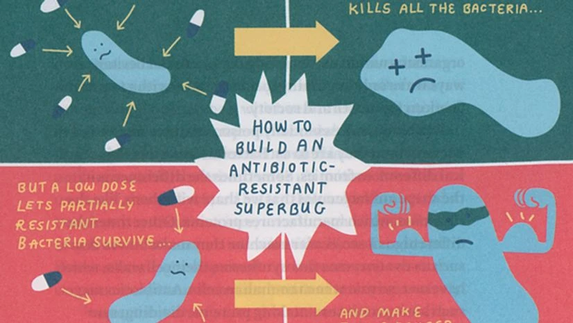 Maple syrup extract may increase potency of antibiotics Maple syrup extract may increase potency of antibiotics