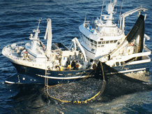 Garware Wall Ropes eyes Rs 1000 crore business by 2017 Garware Wall Ropes