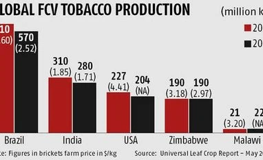 Tobacco acreage in India to shrink on falling demand