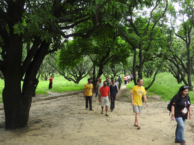 Walking and being active can improve your cognitive function