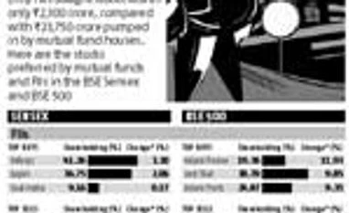 What caught FII, MF fancy