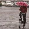A commuter holds an umbrella while riding a bicycle during a rain shower in New Delhi
