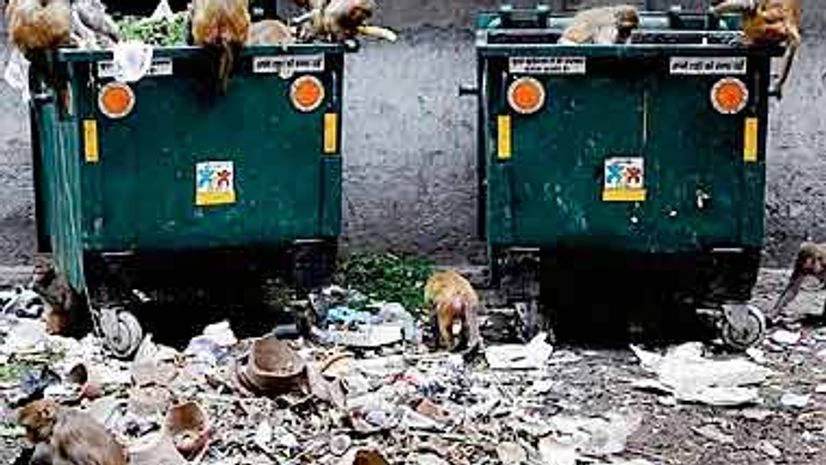NGT asks Delhi govt, civic bodies to raise garbage dumping issue before HC NGT asks Delhi govt, civic bodies to raise garbage dumping issue before HC