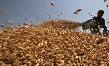 Wheat import to attract 10% duty