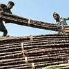 Bihar millers hike sugarcane price