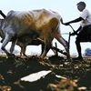 Slow start to kharif sowing in Gujarat