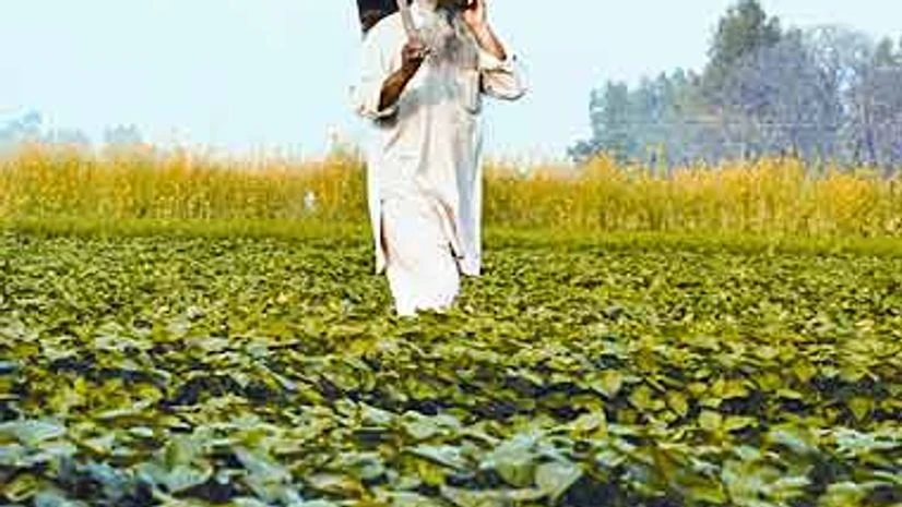 India saves $1.8 billion on fertiliser subsidies, but no reform planned