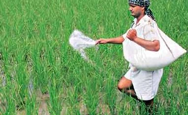 Dry runs for DBT in fertiliser to start from December Dry runs for DBT in fertiliser to start from December