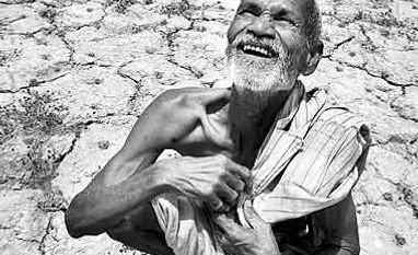 Two third of UP districts declared drought hit Two third of UP districts declared drought hit