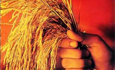 Agri-exports fall 17% to five-year low of $32.09 bn in FY16 Agri exports fall to five year low