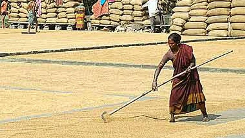 Winter-sown grains output seen at 132.78 million tonnes in 2015/16 Winter-sown grains output seen at 132.78 million tonnes in 2015/16