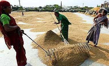 Grain stock ample to tackle drought, says Centre Grain stock ample to tackle drought, says Centre